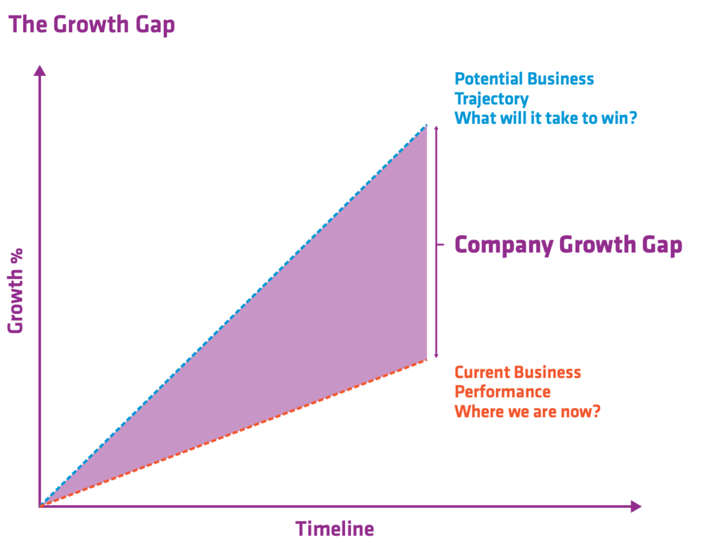 The Growth Gap