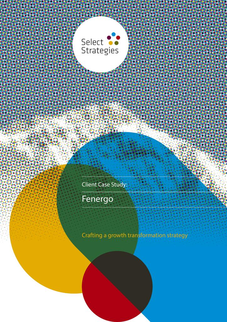 Fenergo Case Study